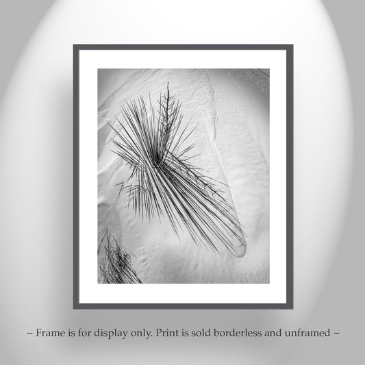 White Sand Dunes Desert Art - Minimalist Black & White Landscape