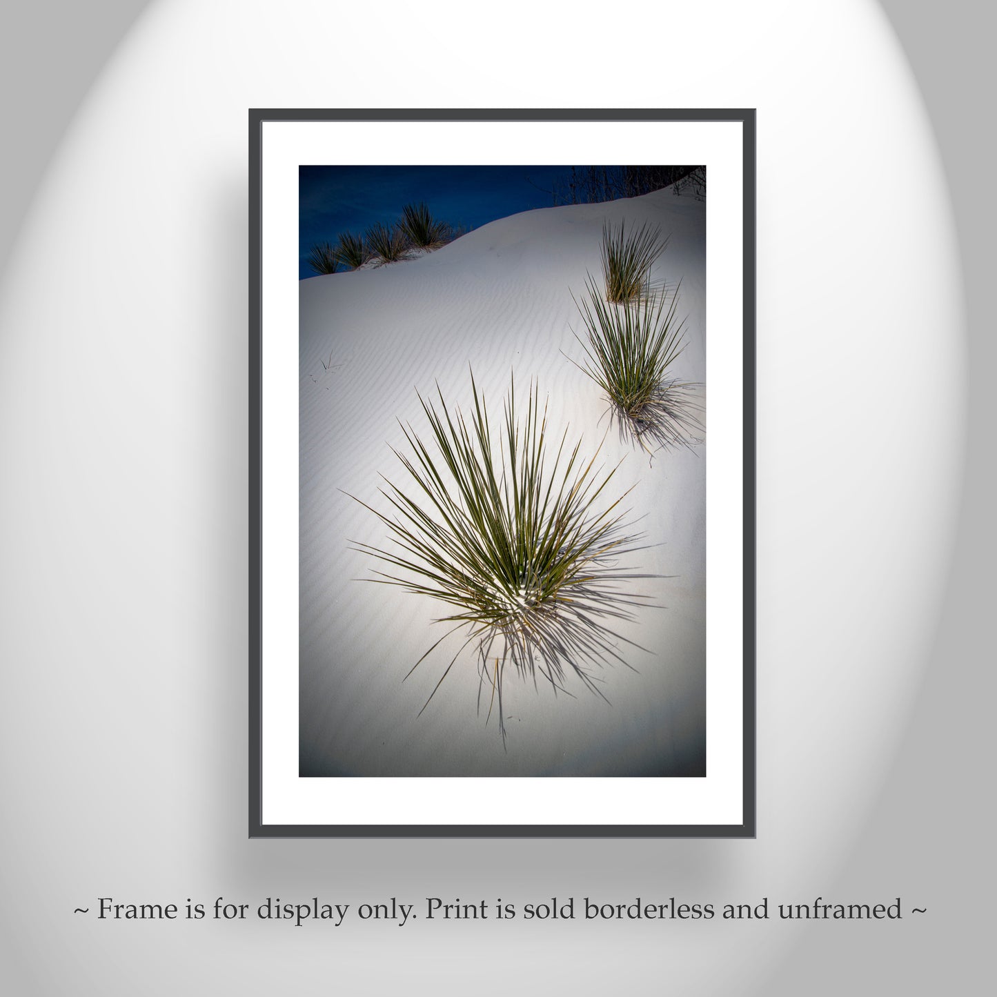 Yucca Agave Elegant Desert Art Print at New Mexico White Sand Dunes