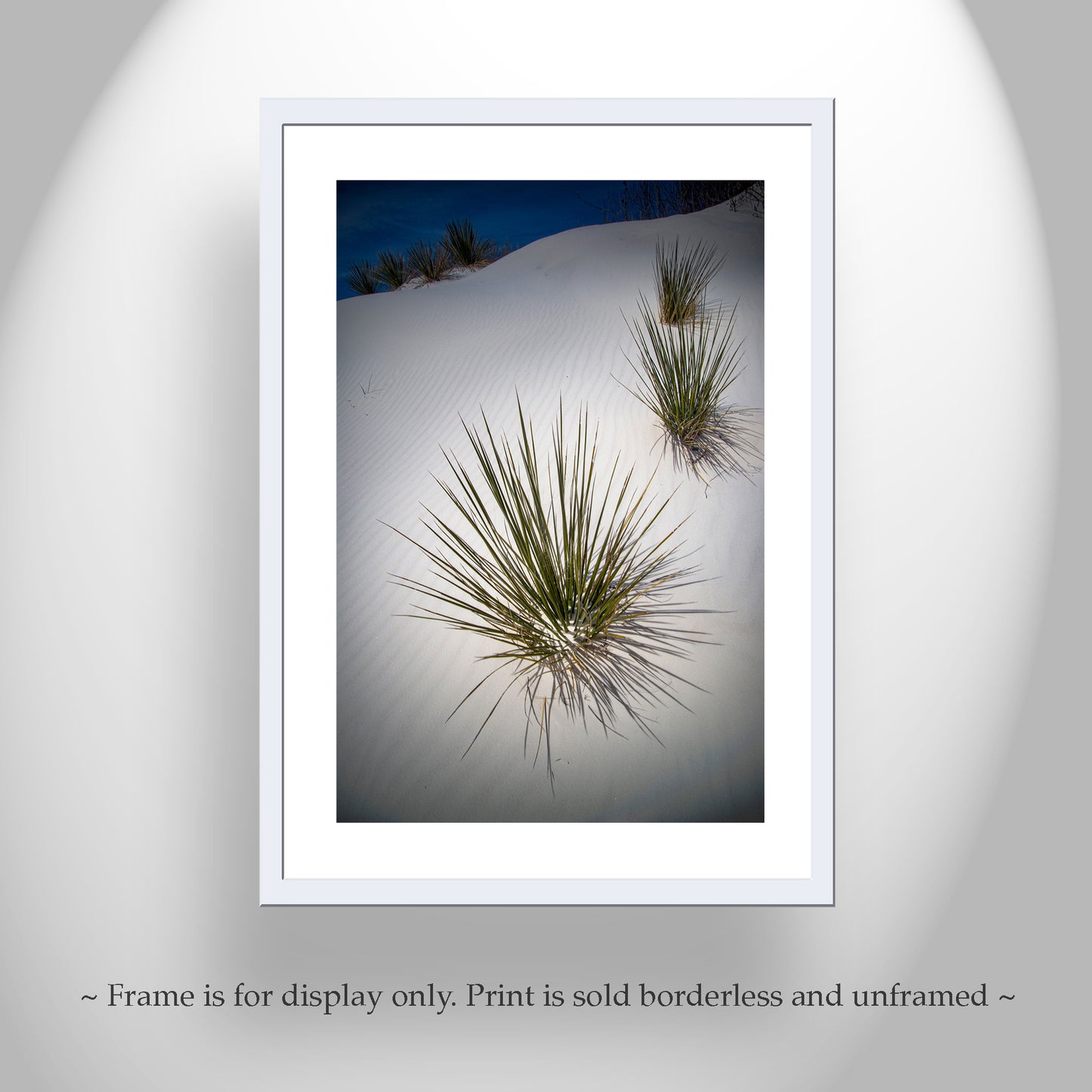 Yucca Agave Elegant Desert Art Print at New Mexico White Sand Dunes