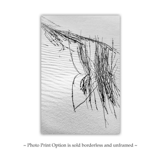 New Mexico Landscape Photo - Minimalist Wall Art with Desert Dune