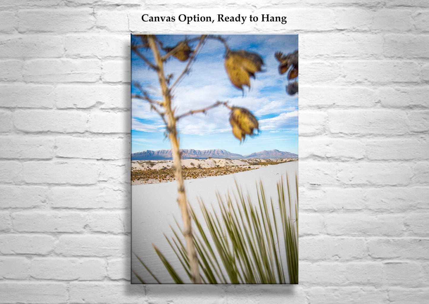 Yucca Agave Plant Art Print in New Mexico White Sands Landscape