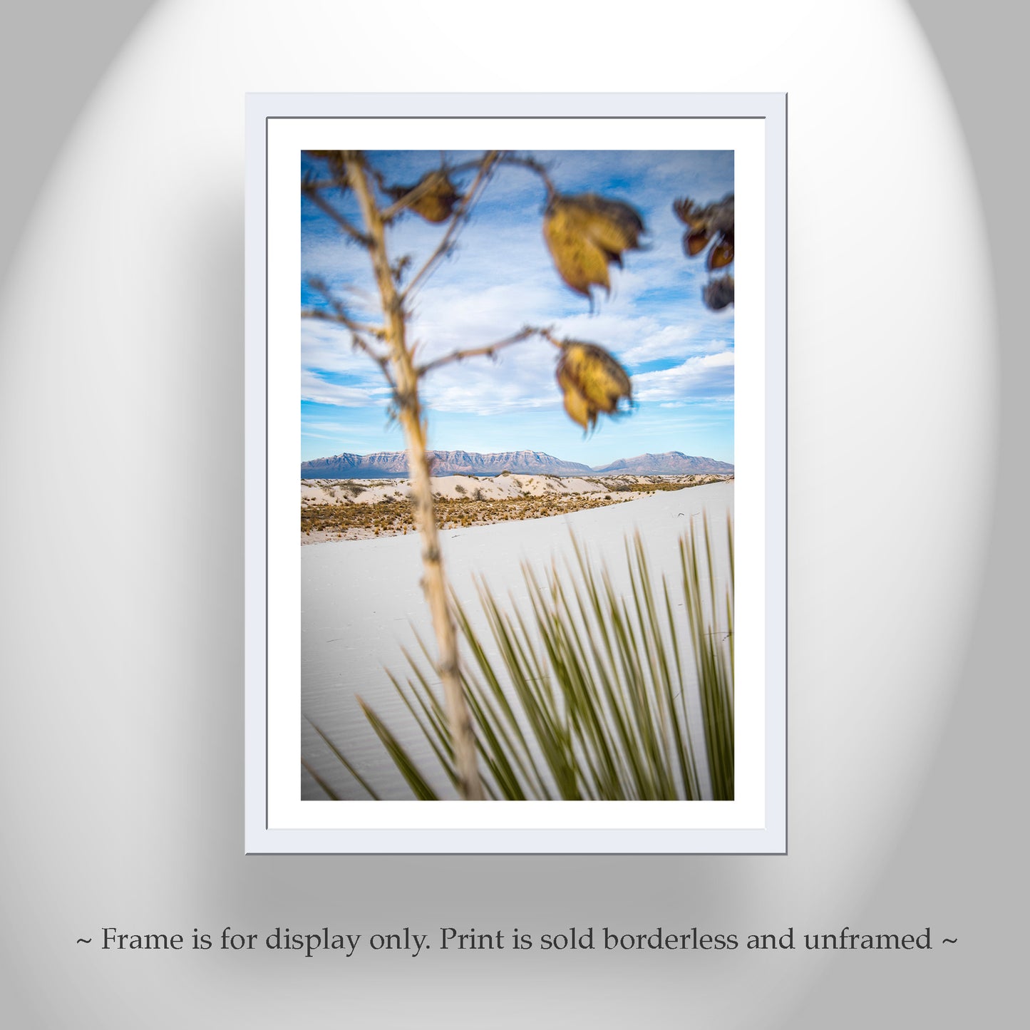 Yucca Agave Plant Art Print in New Mexico White Sands Landscape