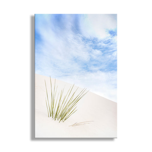 A single green plant growing in a vast, white sand dune against a backdrop of a blue sky with wispy clouds. Minimalist Desert Print - White Sands New Mexico Gypsum Dunes Art