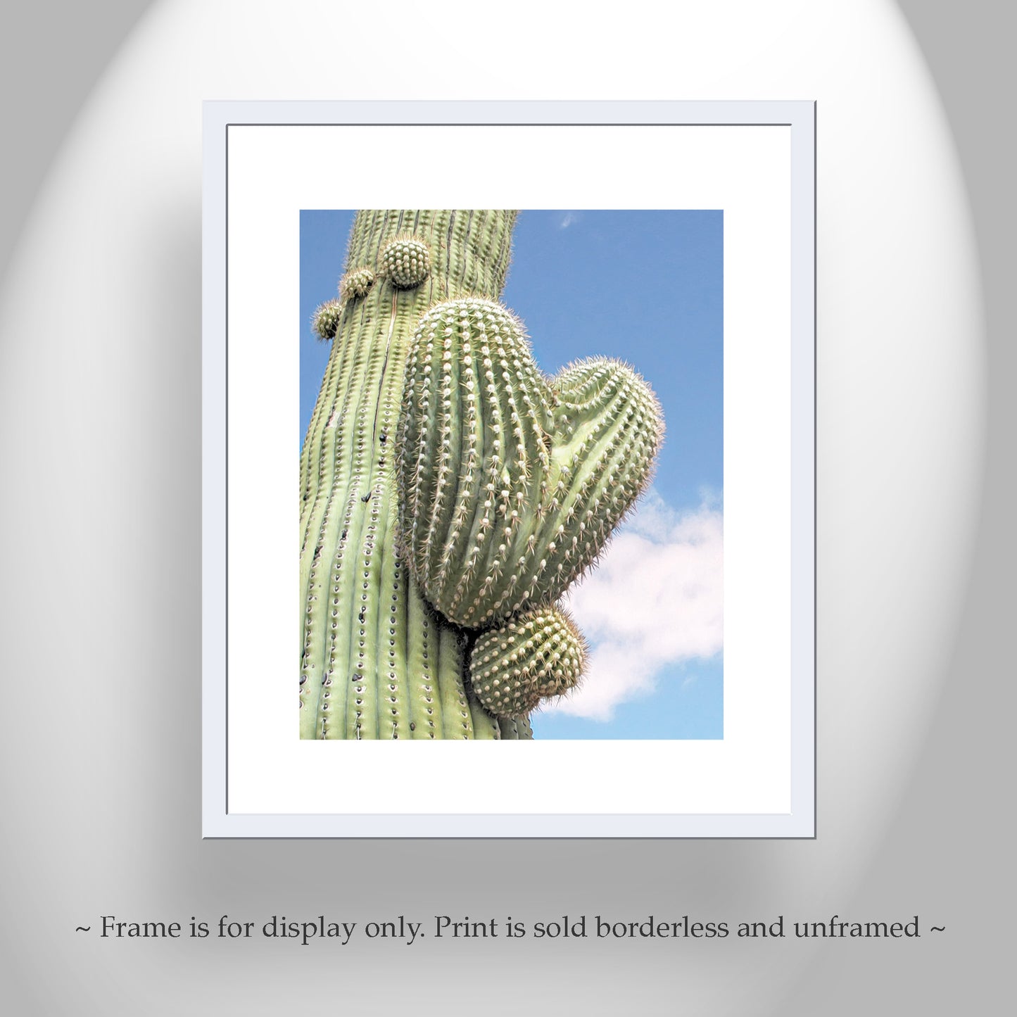 Cactus Wall Decor with Heart in Nature as Southwestern Art Print