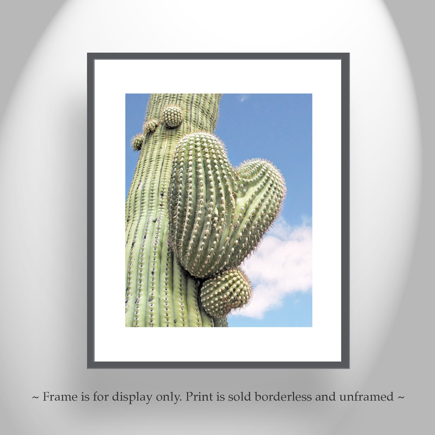 Cactus Wall Decor with Heart in Nature as Southwestern Art Print