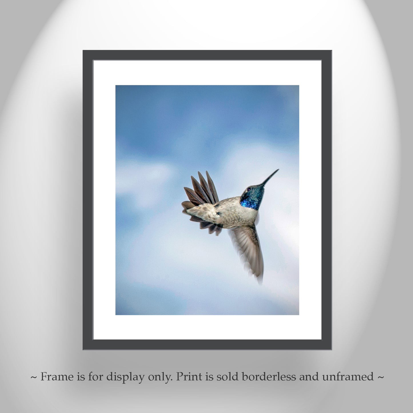 Hummingbird in Flight Photograph as Avian Bird Decor Gift