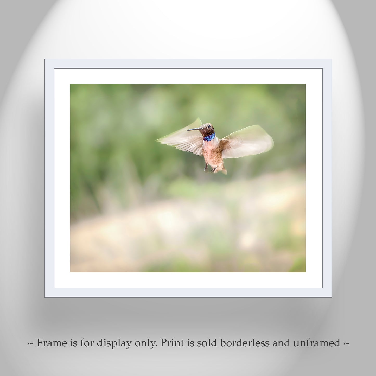 Hummingbird in Flight Art as Spring Green Nature Decor | Tucson Birds