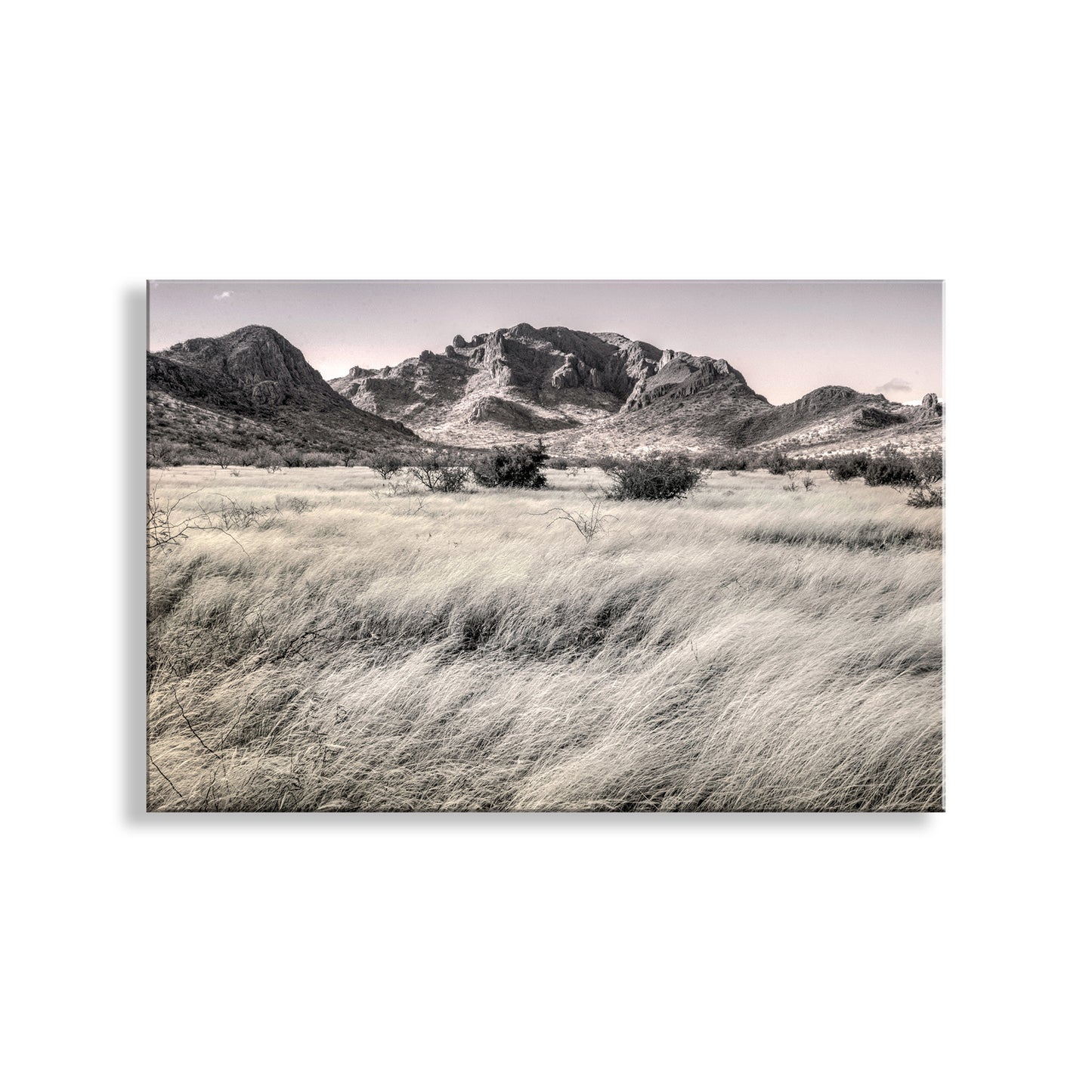 Southern Arizona High Desert Grasslands Landscape Artwork for Sale