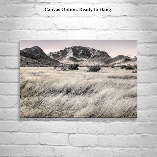 High Desert Grasslands Art – Southern Arizona Landscape Print