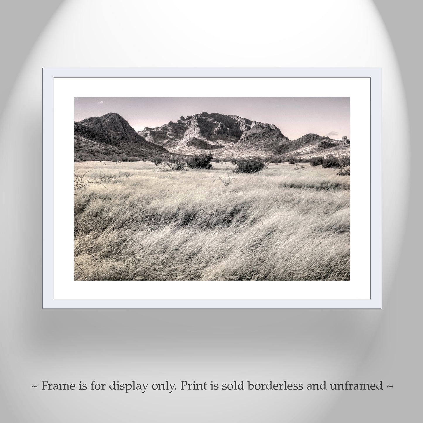 Southern Arizona High Desert Grasslands Landscape Artwork for Sale