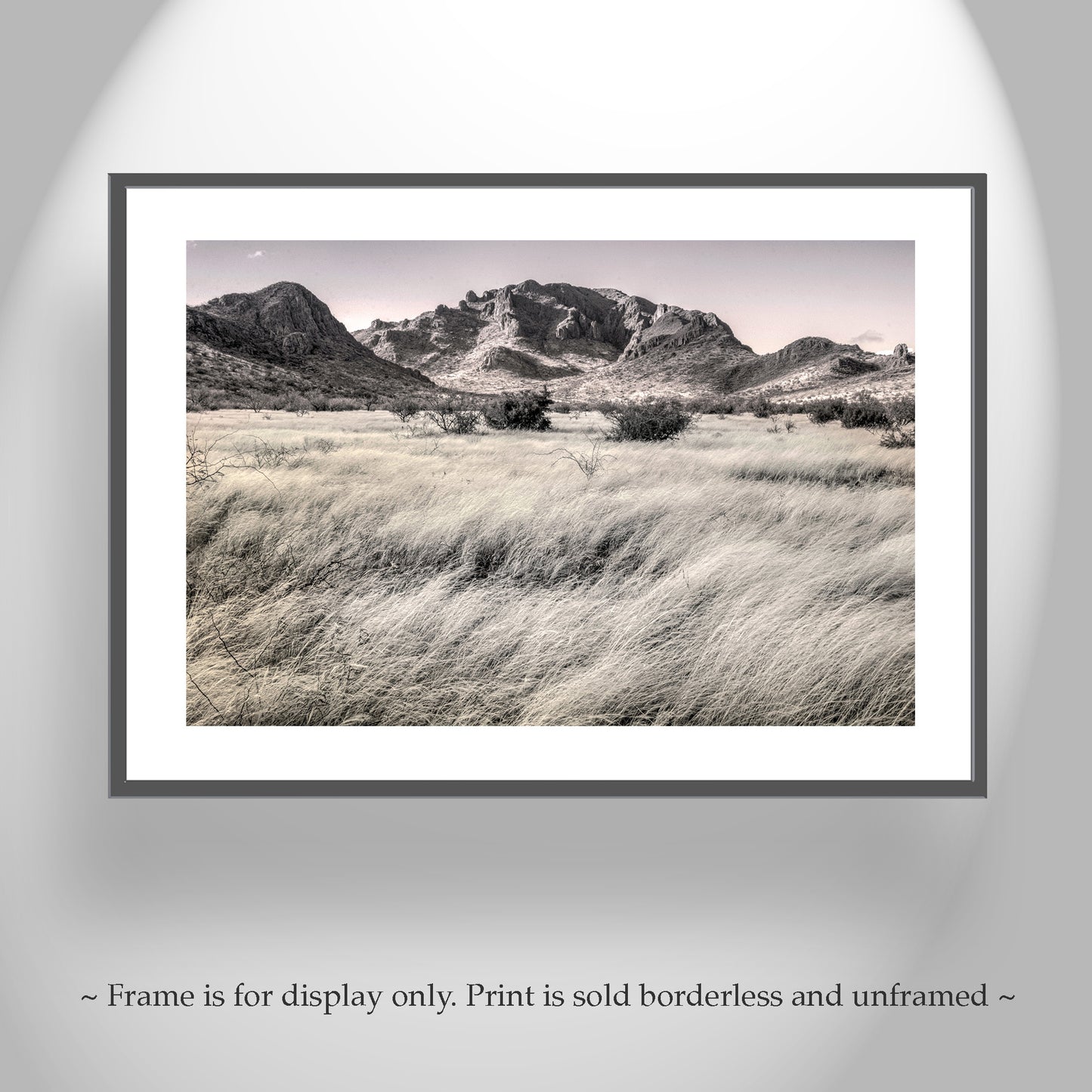 Southern Arizona High Desert Grasslands Landscape Artwork for Sale