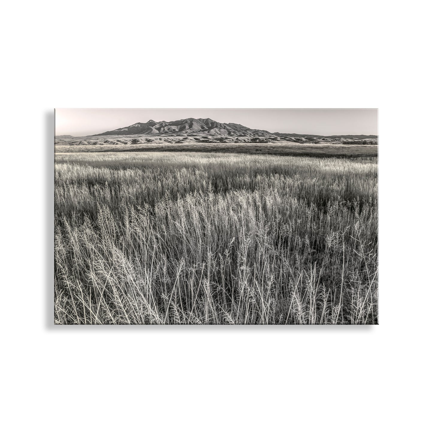 Huachuca Mountains Sierra Vista Arizona Grasslands Landscape Art