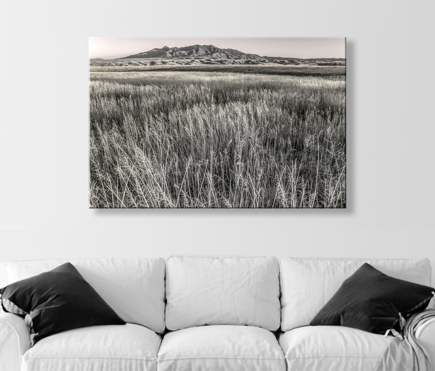 Huachuca Mountains Sierra Vista Arizona Grasslands Landscape Art