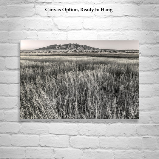 Huachuca Mountains Arizona Grasslands Landscape Art Print
