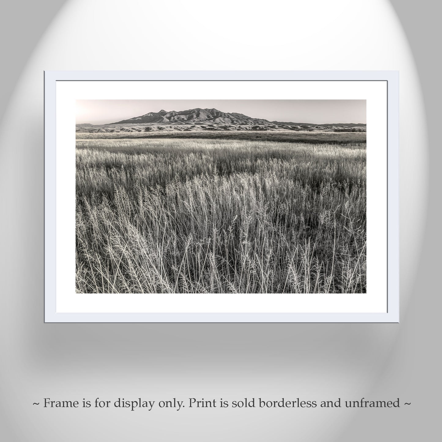 Huachuca Mountains Sierra Vista Arizona Grasslands Landscape Art