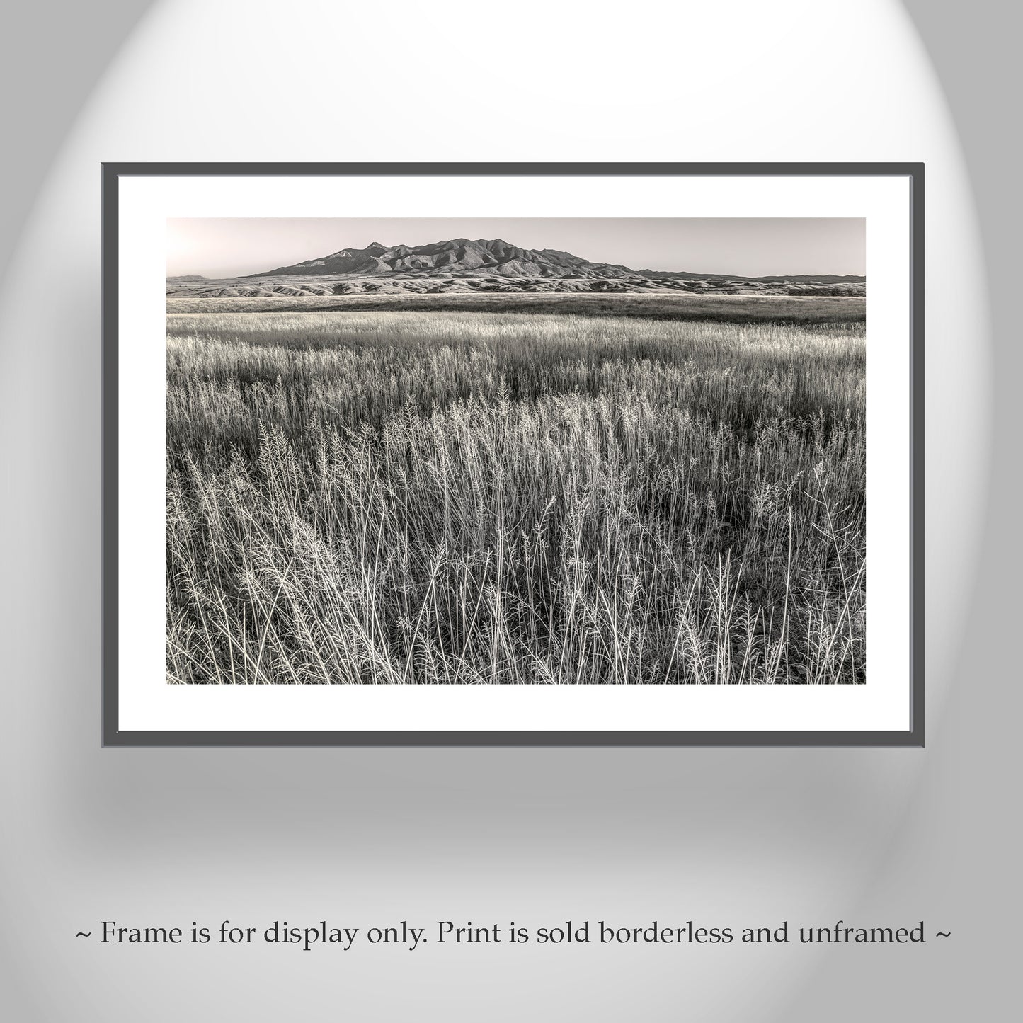 Huachuca Mountains Sierra Vista Arizona Grasslands Landscape Art