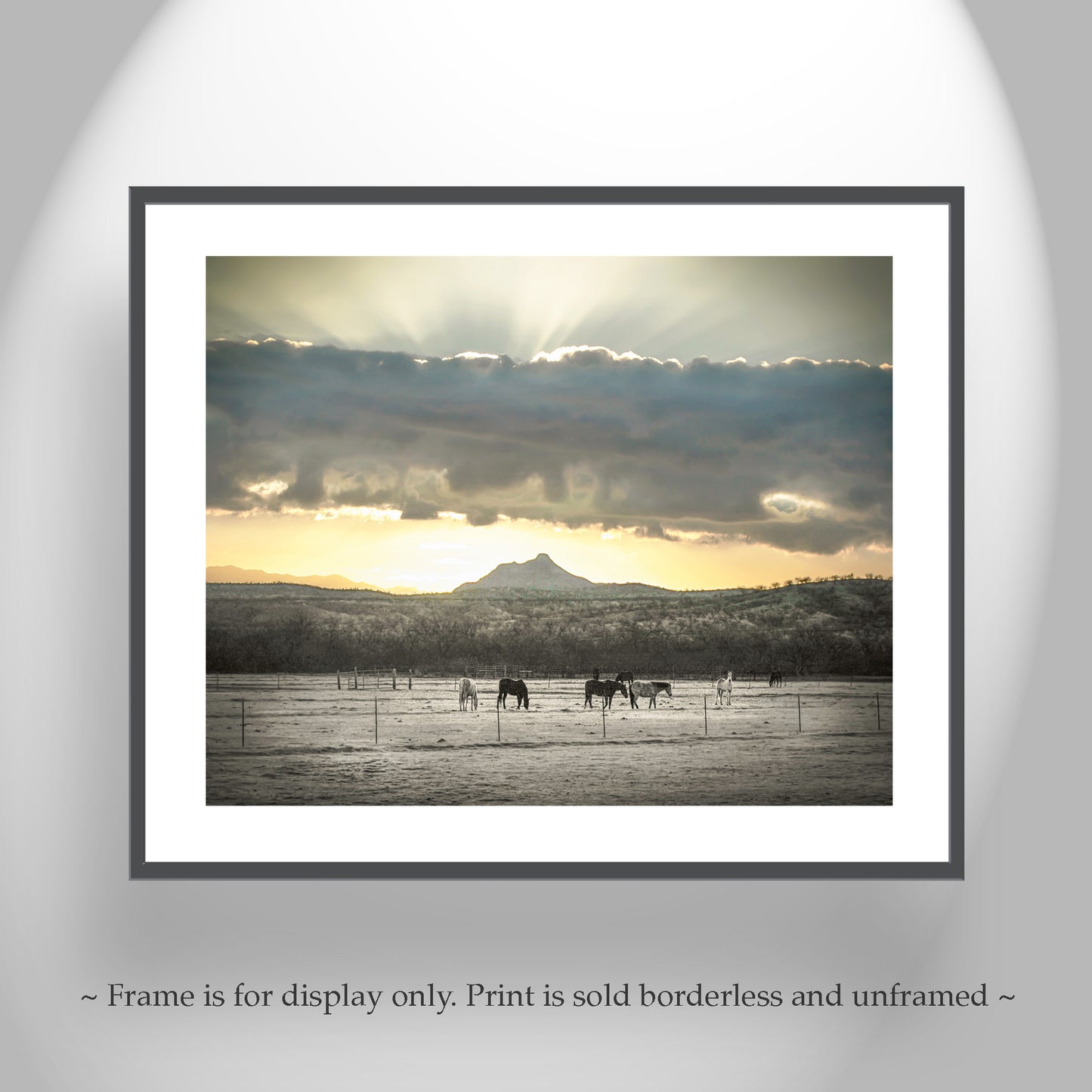 Horse Art Photography with Ranch Pasture and Western Sunrise Landscape | Tucson Arivaca Green Valley Amado Arizona