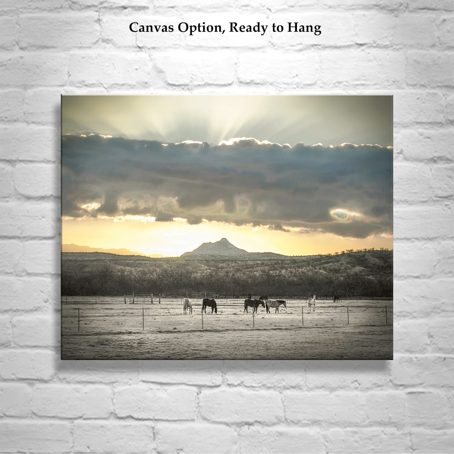 Horse Art Photography with Ranch Pasture and Western Sunrise Landscape | Tucson Arivaca Green Valley Amado Arizona