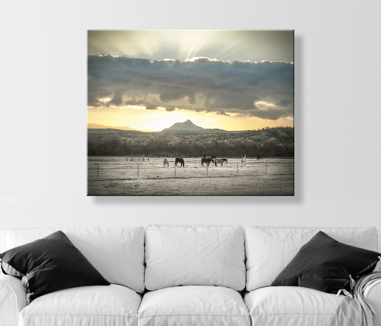 Horse Art Photography with Ranch Pasture and Western Sunrise Landscape | Tucson Arivaca Green Valley Amado Arizona