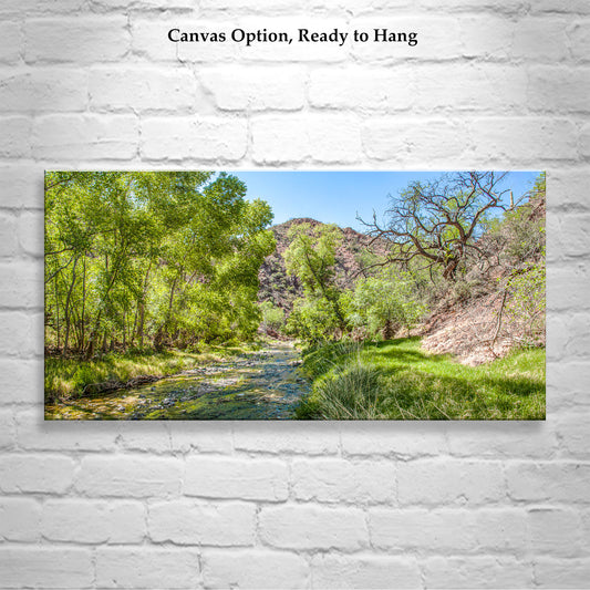 Southern Arizona Desert Spring Water Riparian Landscape Art in Panorama