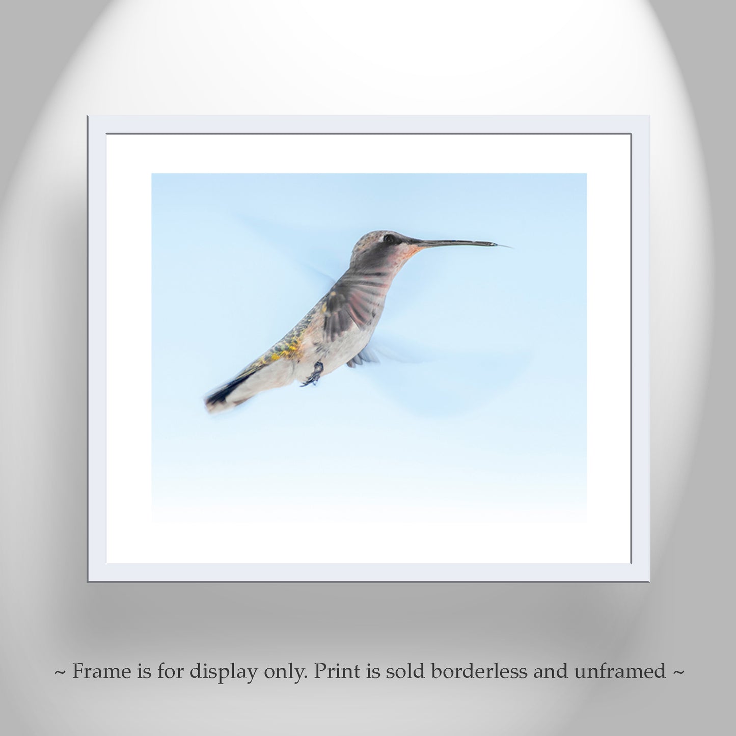 Hummingbird in Flight Art Photograph as Avian Wall Decor