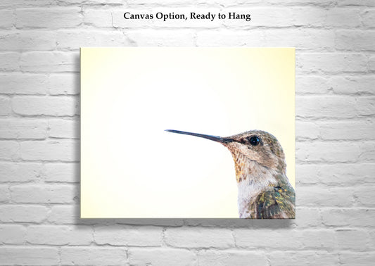 Hummingbird Photography | Vibrant Bird Art Print for Home