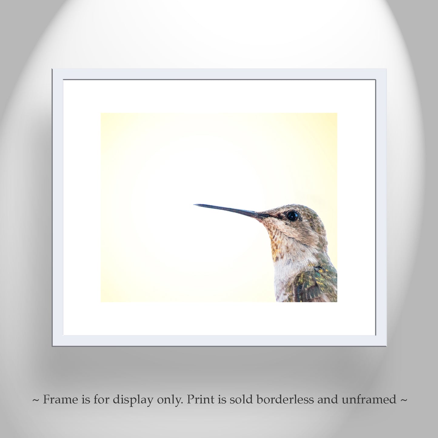 Hummingbird Photography | Bright Vibrant Bird Art Print