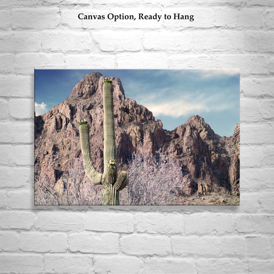 Tucson Arizona Desert Mountain Landscape Art Print with Ironwood Flowers