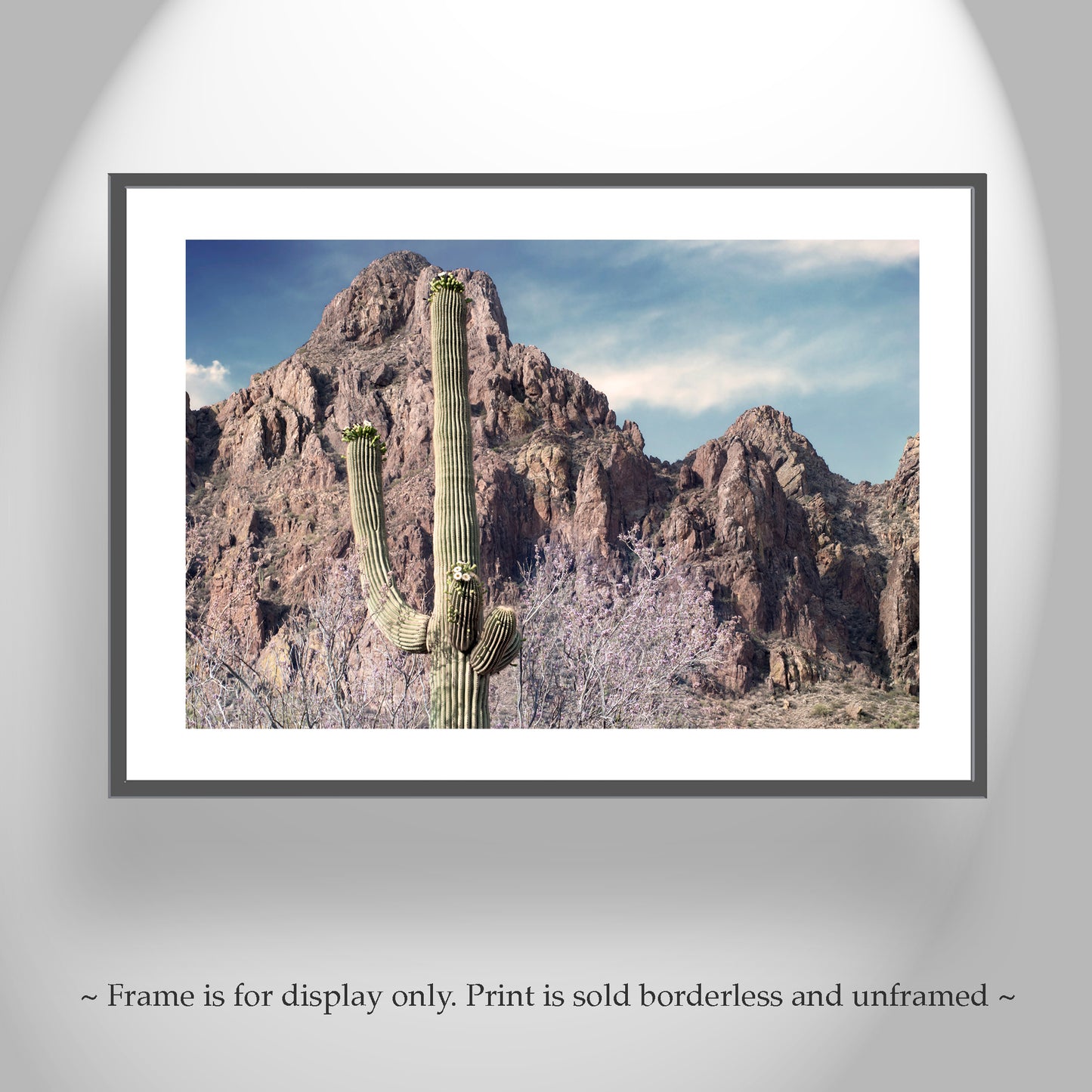 Tucson Arizona Desert Mountain Landscape Art Print with Ironwood Flowers