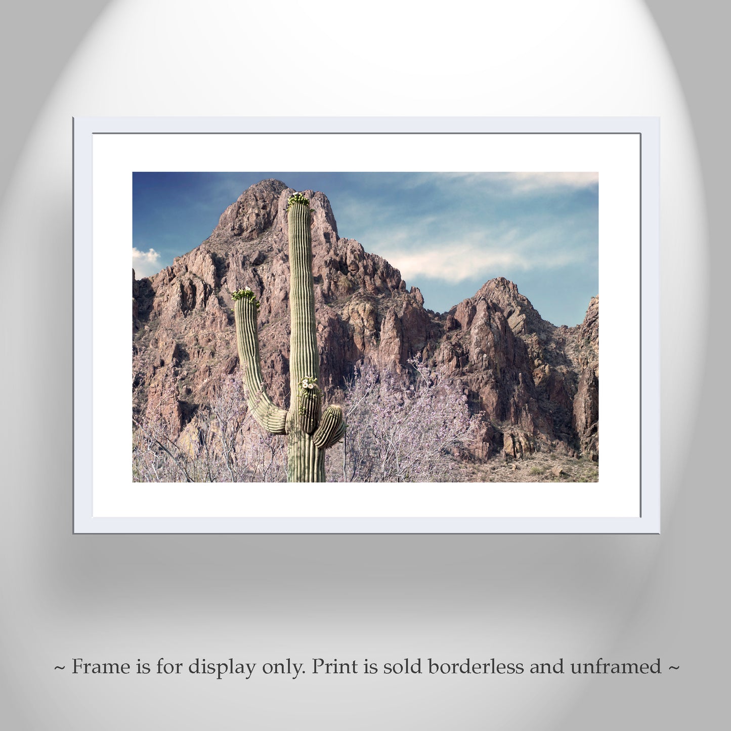 Tucson Arizona Desert Mountain Landscape Art Print with Ironwood Flowers