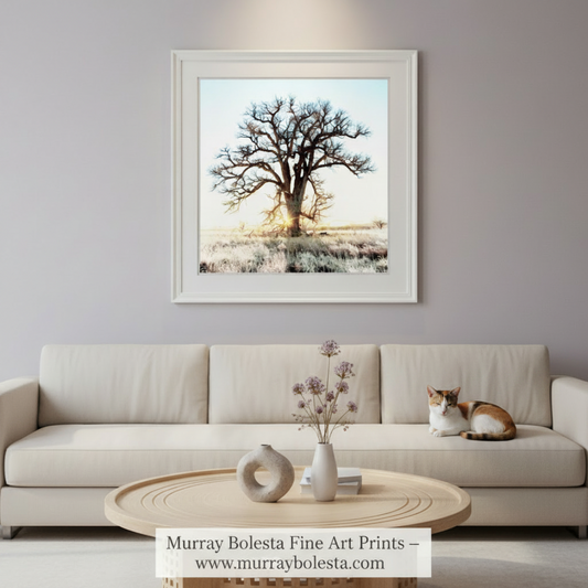 Tree in a field with a sunburst effect on a white background. Cottonwood Tree Art Print in Surreal Winter Sunrise Landscape | Arivaca Arizona by Murray Bolesta