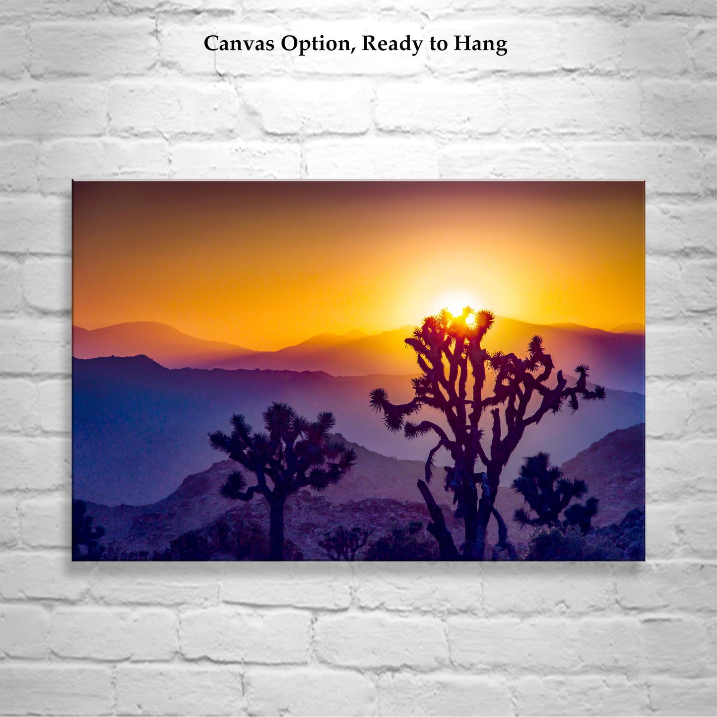 Sunset in Joshua Tree National Park – Mojave Desert Landscape Art for Sale