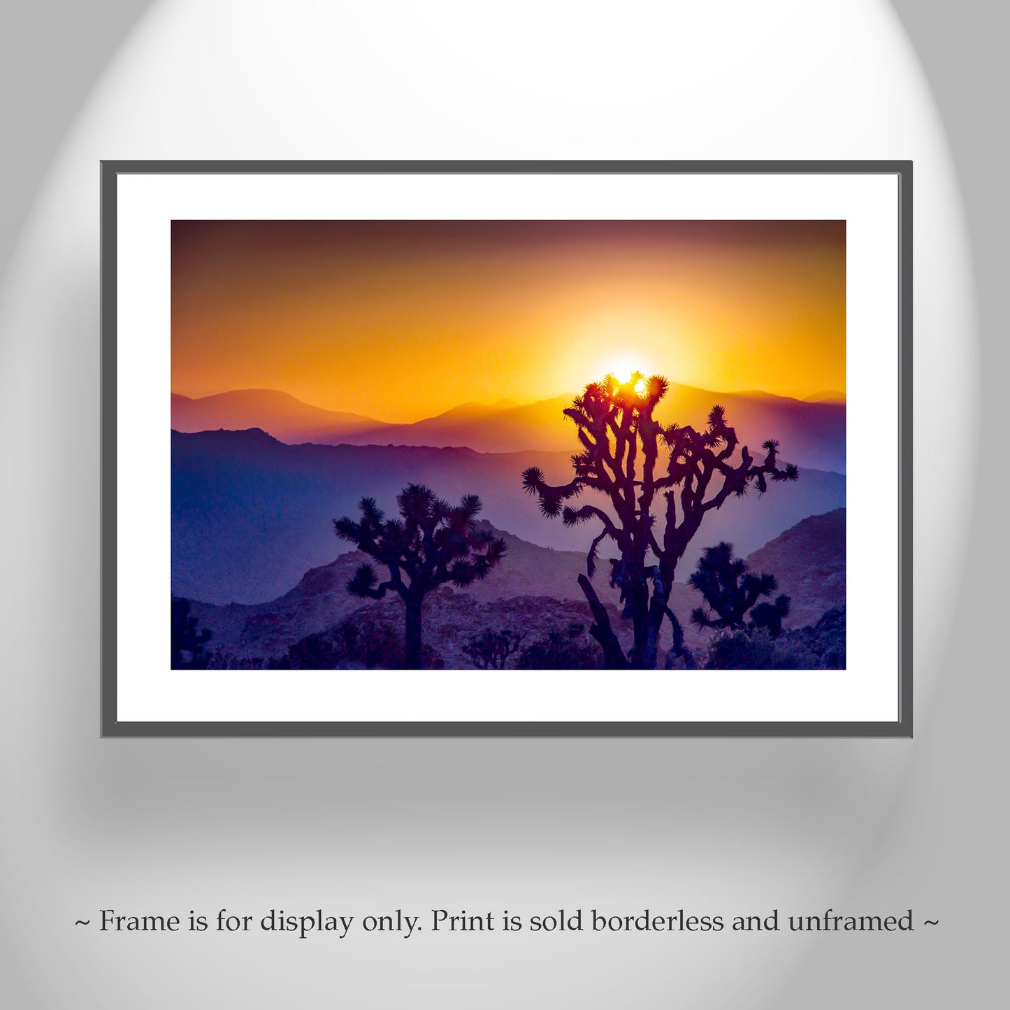 Sunset in Joshua Tree National Park – Mojave Desert Landscape Art for Sale