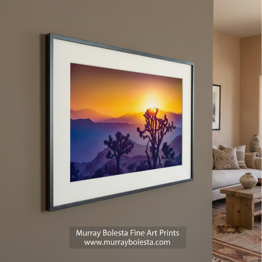 A desert landscape at sunset, with silhouetted trees and mountains in the background. Sunset in Joshua Tree National Park | Mojave Desert Wall Art by Murray Bolesta