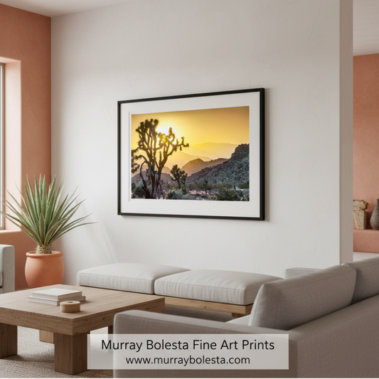 A desert landscape at sunset, with a large Joshua tree in the foreground and mountains in the background. Joshua Tree Sunset Art Print | California Mojave Desert Landscape by Murray Bolesta