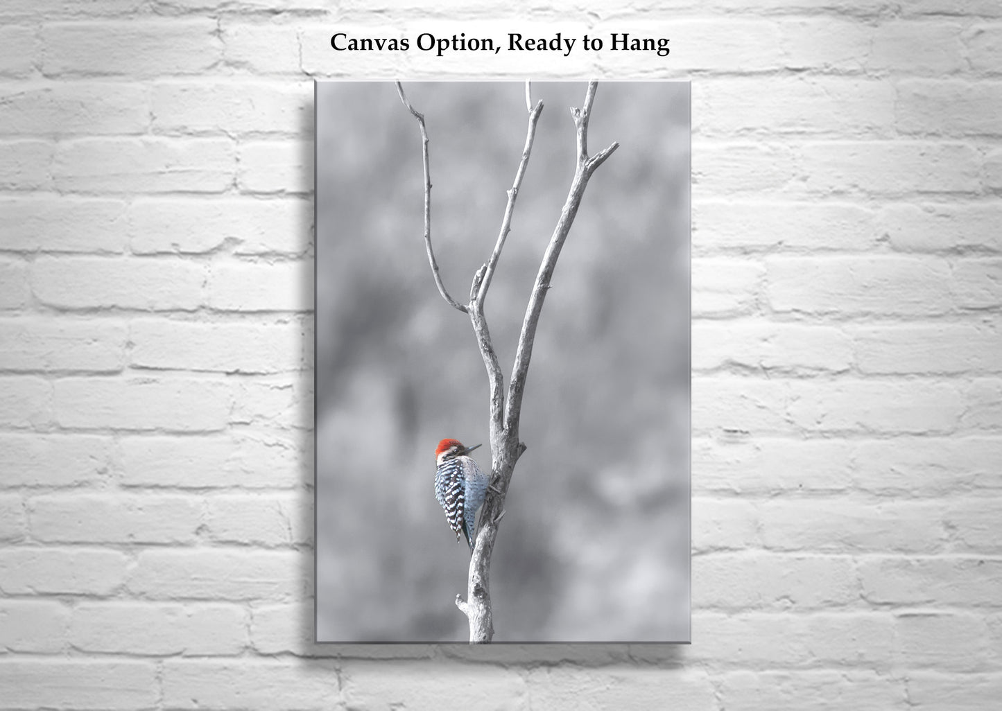 Bird in Winter Print with Ladderback Woodpecker | Minimalist Wall Art