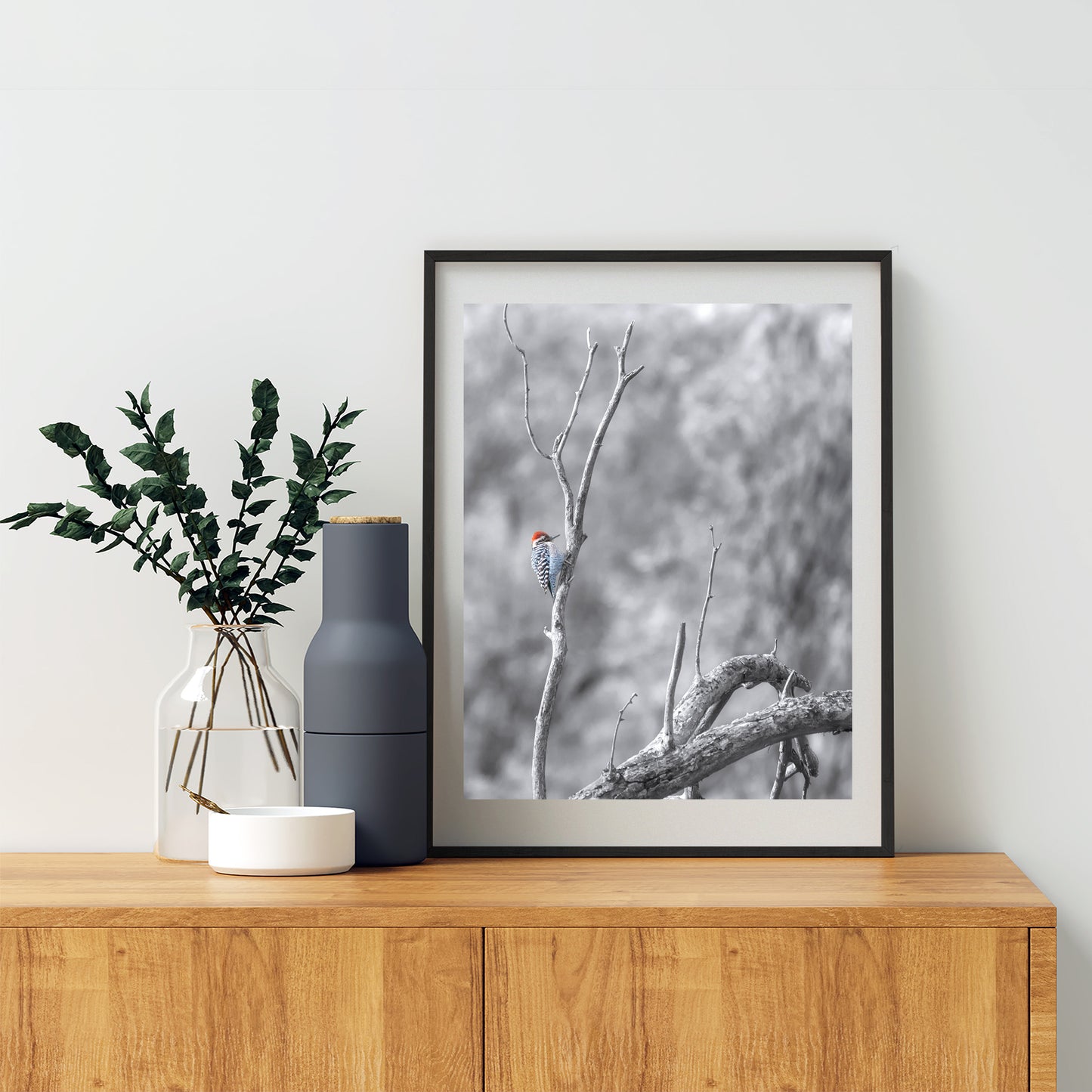 Ladderback Woodpecker Bird Artwork in Winter | Arizona Wildlife Art