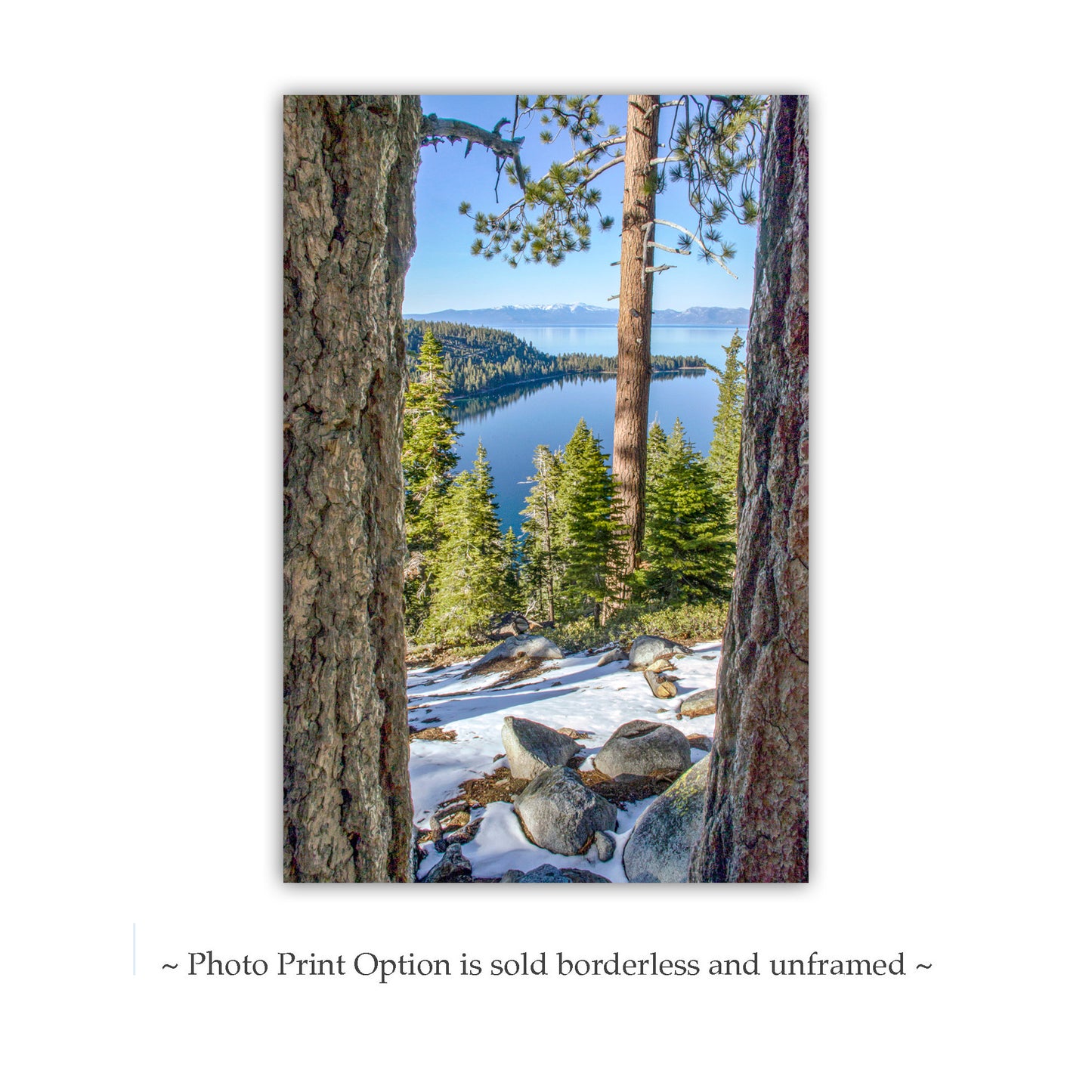 Lake Tahoe Photography with Sierra Nevada Mountain Art Gift | Ponderosa Pines at Emerald Bay
