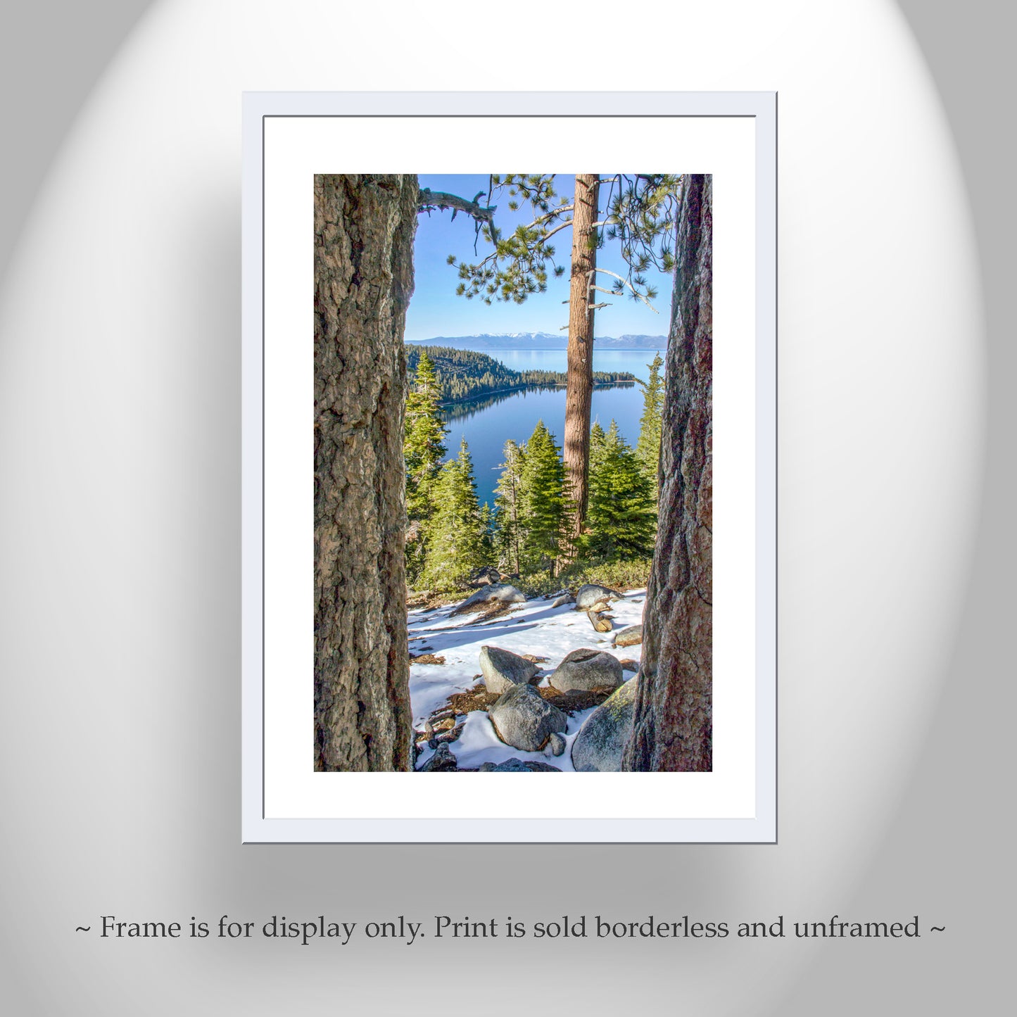 Lake Tahoe Photography with Sierra Nevada Mountain Art Gift | Ponderosa Pines at Emerald Bay