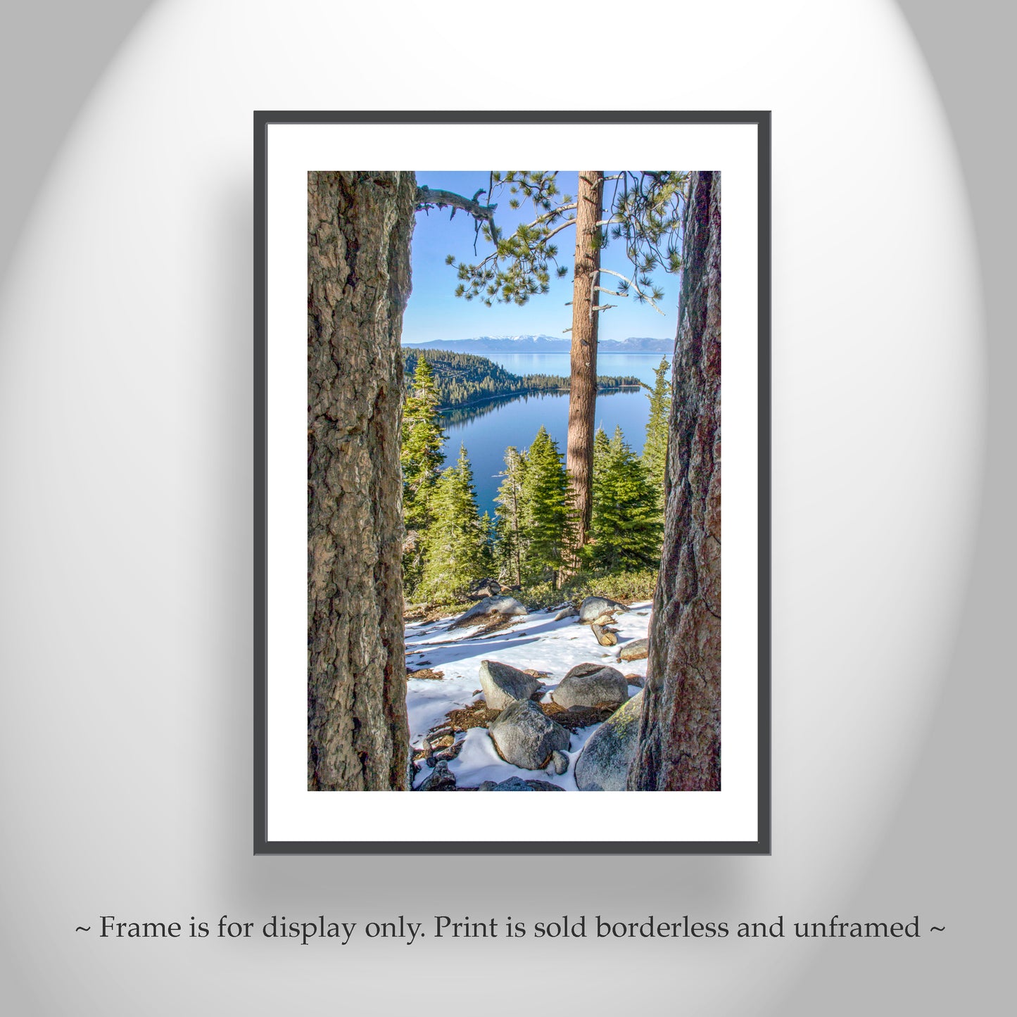 Lake Tahoe Photography with Sierra Nevada Mountain Art Gift | Ponderosa Pines at Emerald Bay