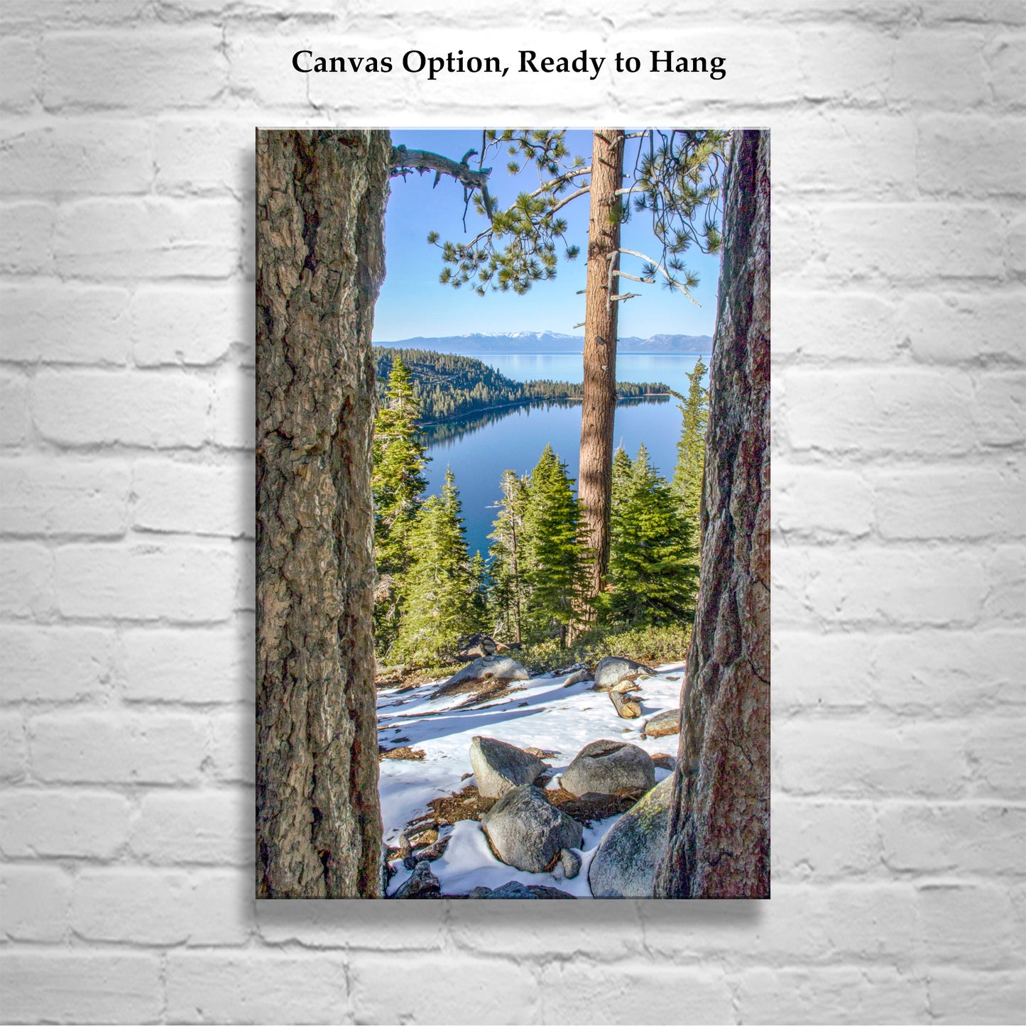 Lake Tahoe Photography with Sierra Nevada Mountain Art Gift | Ponderosa Pines at Emerald Bay