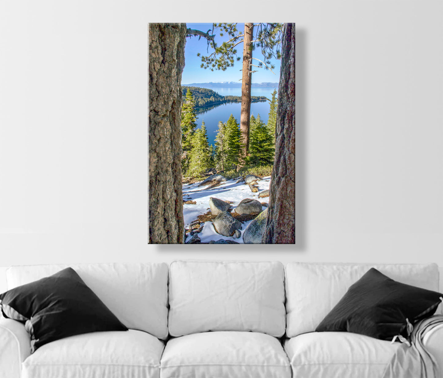 Lake Tahoe Photography with Sierra Nevada Mountain Art Gift | Ponderosa Pines at Emerald Bay