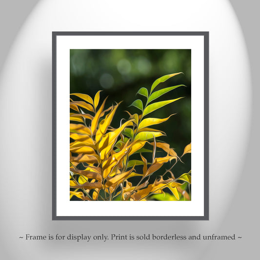 Botanical Art Photography Print with Elegant Forest Leaves | Madera Canyon AZ