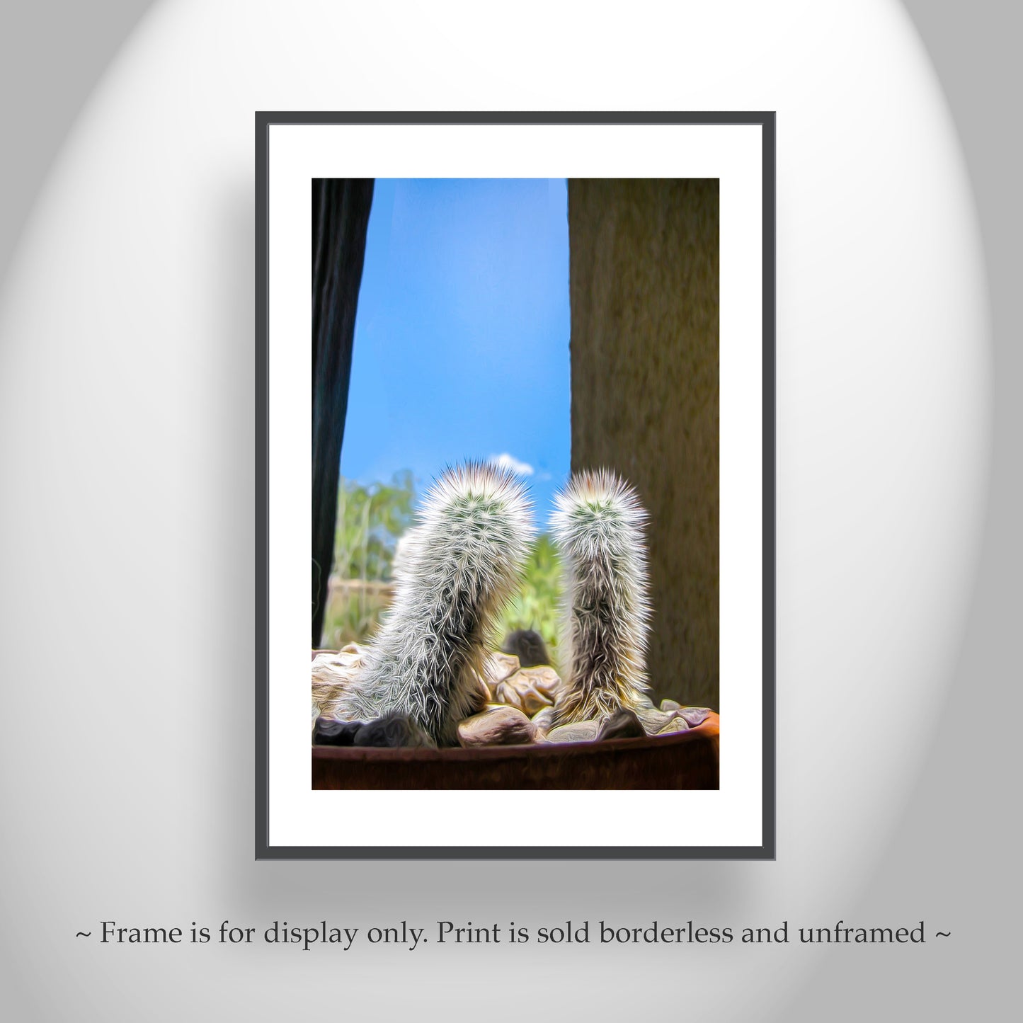 Tiny Cactus Photograph as Southwestern Wall Decor
