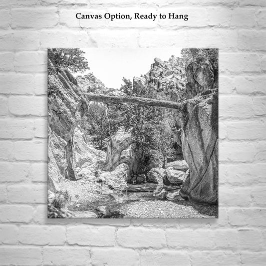 Black and White Desert Canyon Wall Art with Creek and Fallen Log
