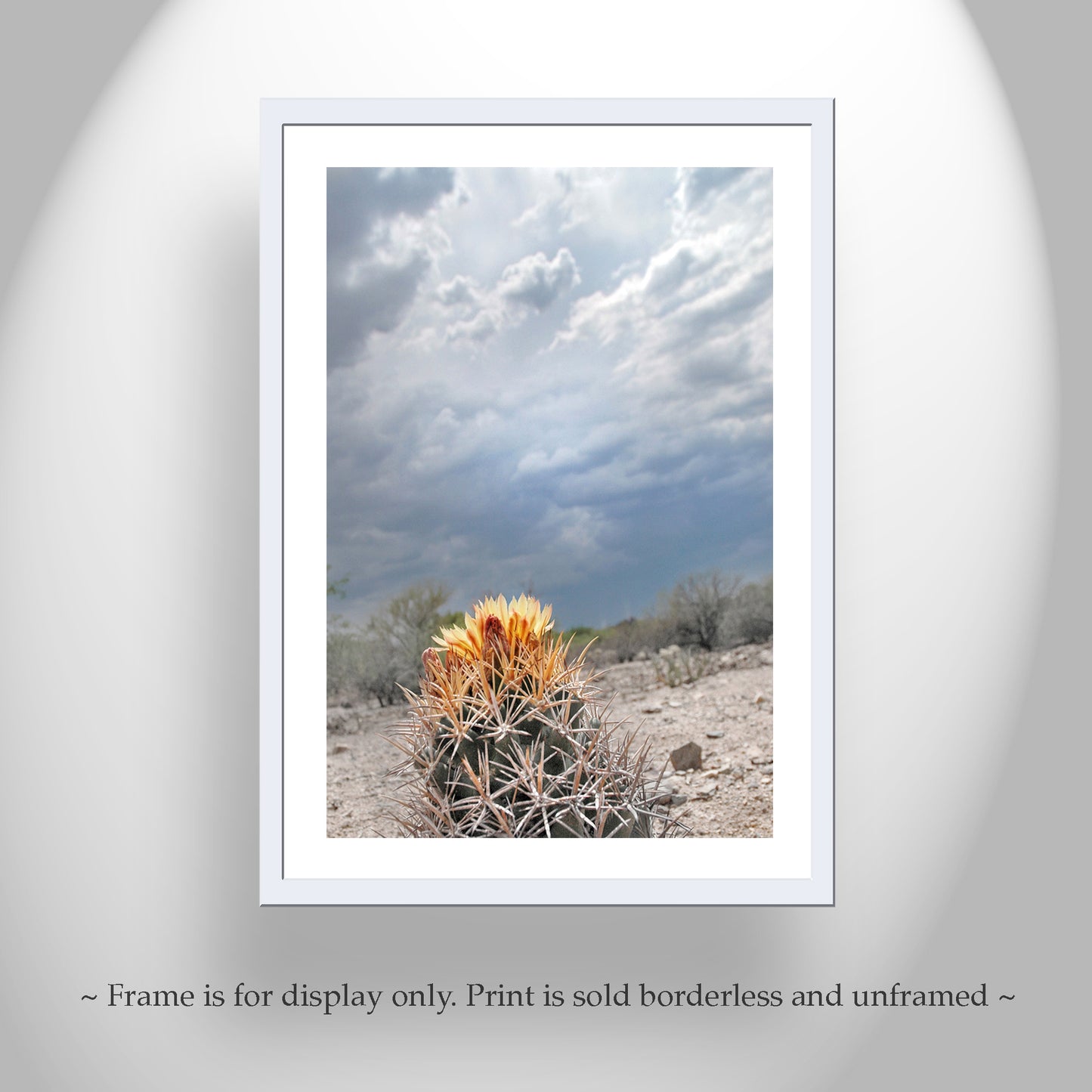 Desert Storm Landscape Art with Cactus Flower and Stormy Sky
