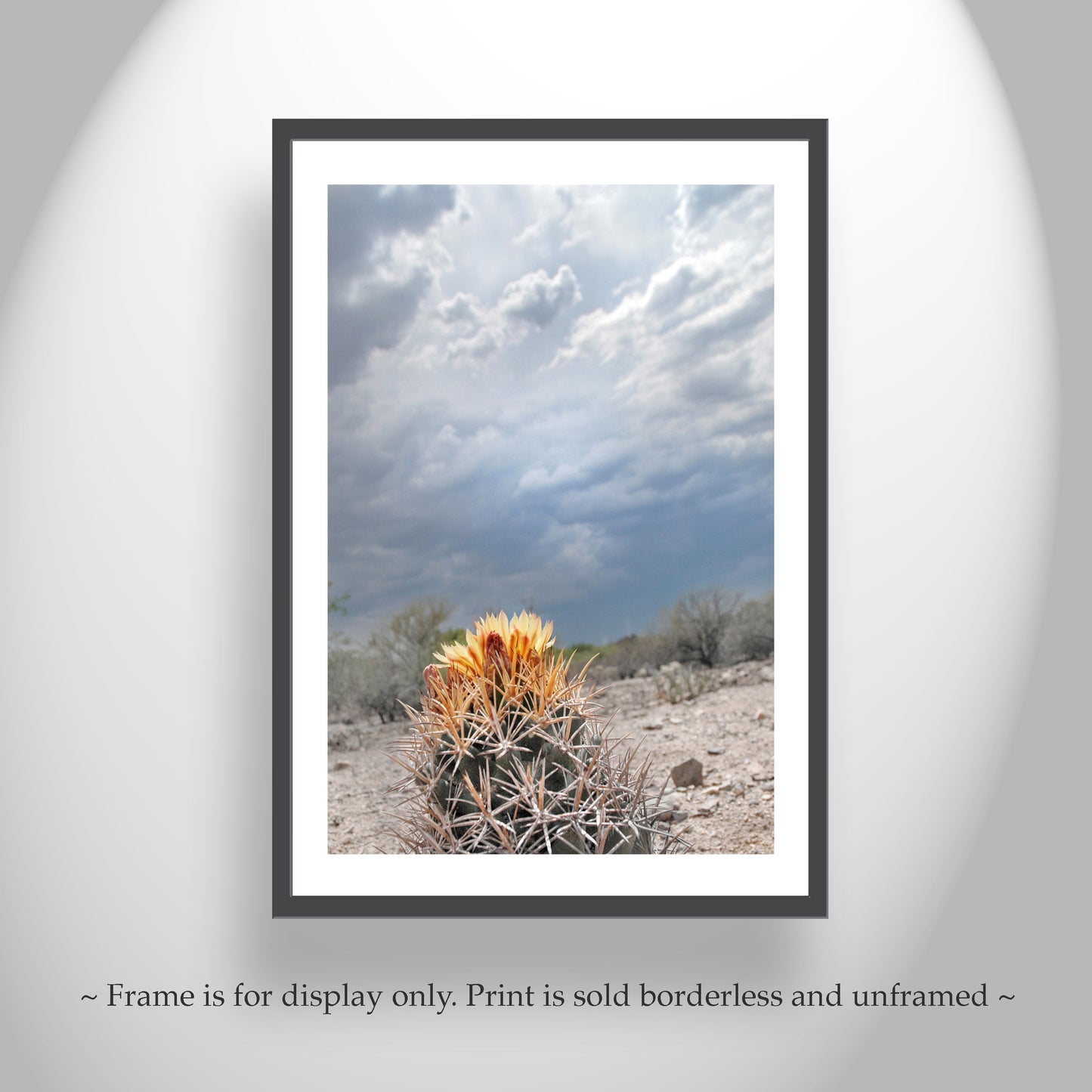 Desert Storm Landscape Art with Cactus Flower and Stormy Sky