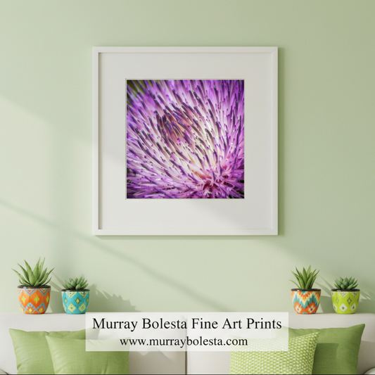 Thistle Flower Wall Decor Print as Wild Desert Botanical Art by Murray Bolesta