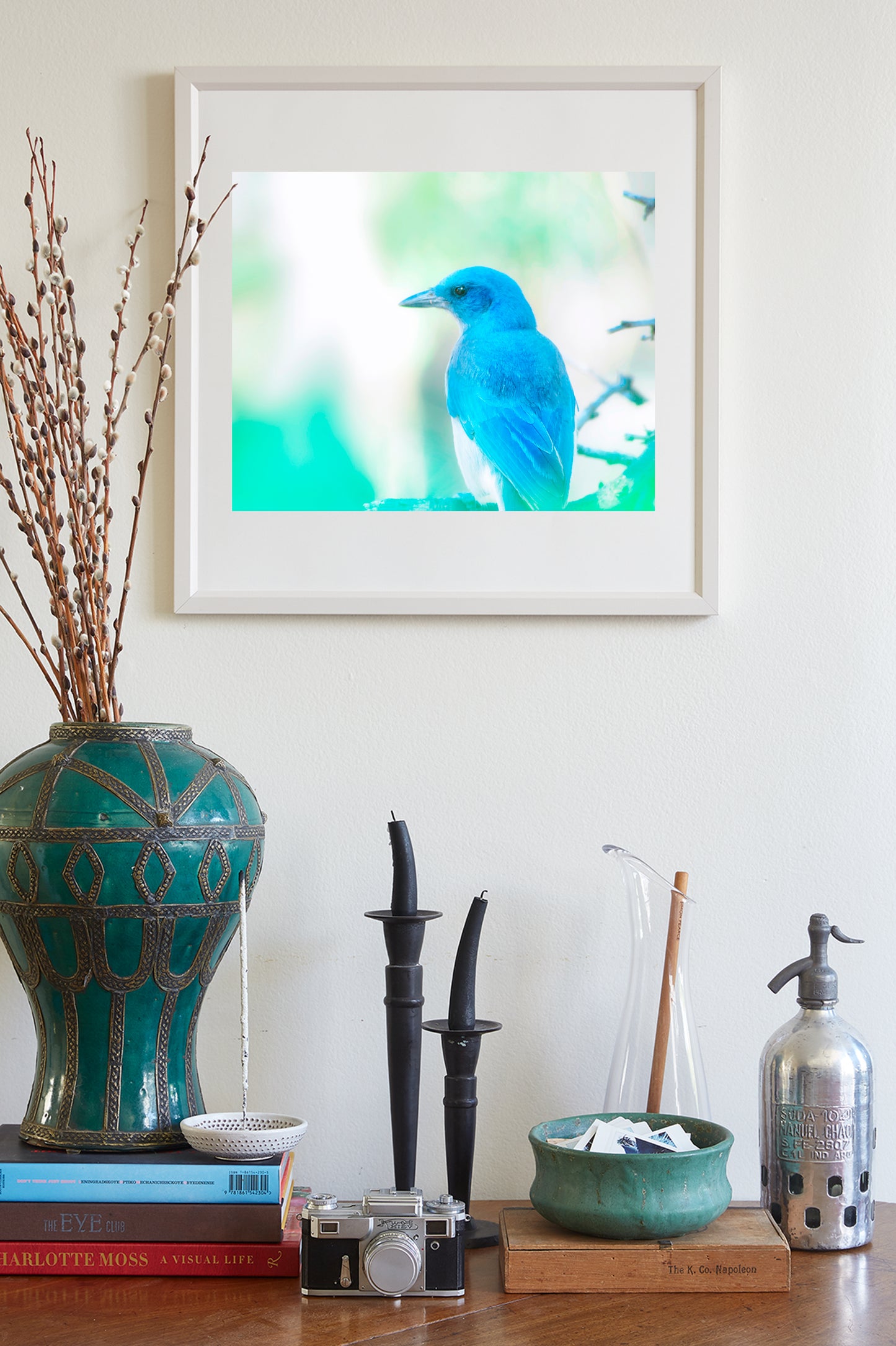 Blue Jay Bird Print as Painterly Nature Art with Mexican Jay