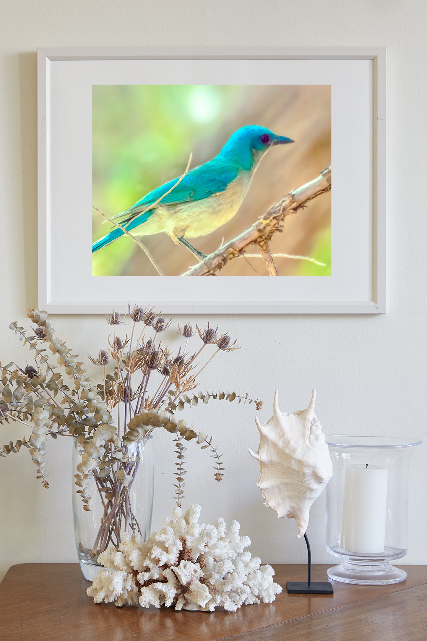 Blue Jay Forest Nature Art for Home with Mexican Jay Bird